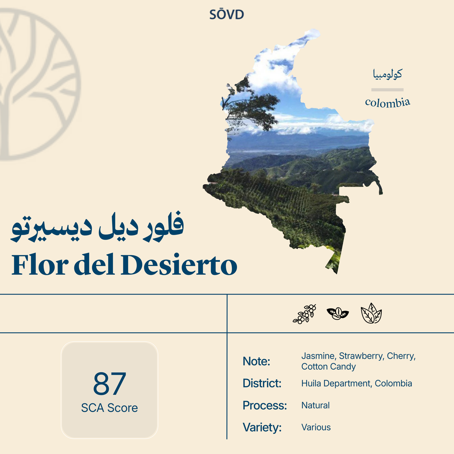Flor del desierto
