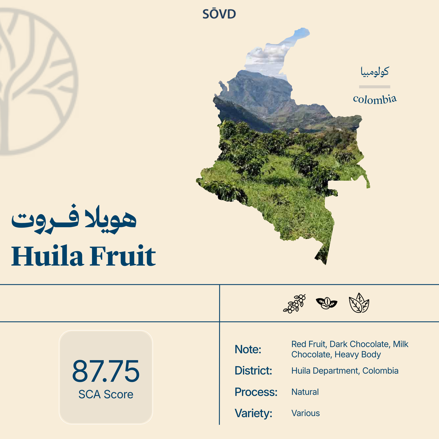 Huila Fruit
