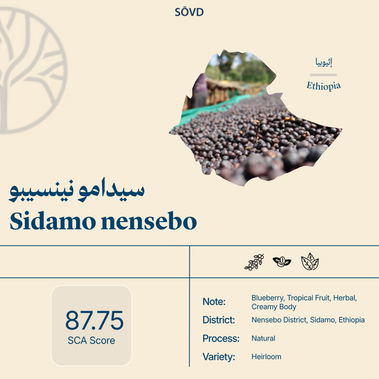 Sidamo nensibo