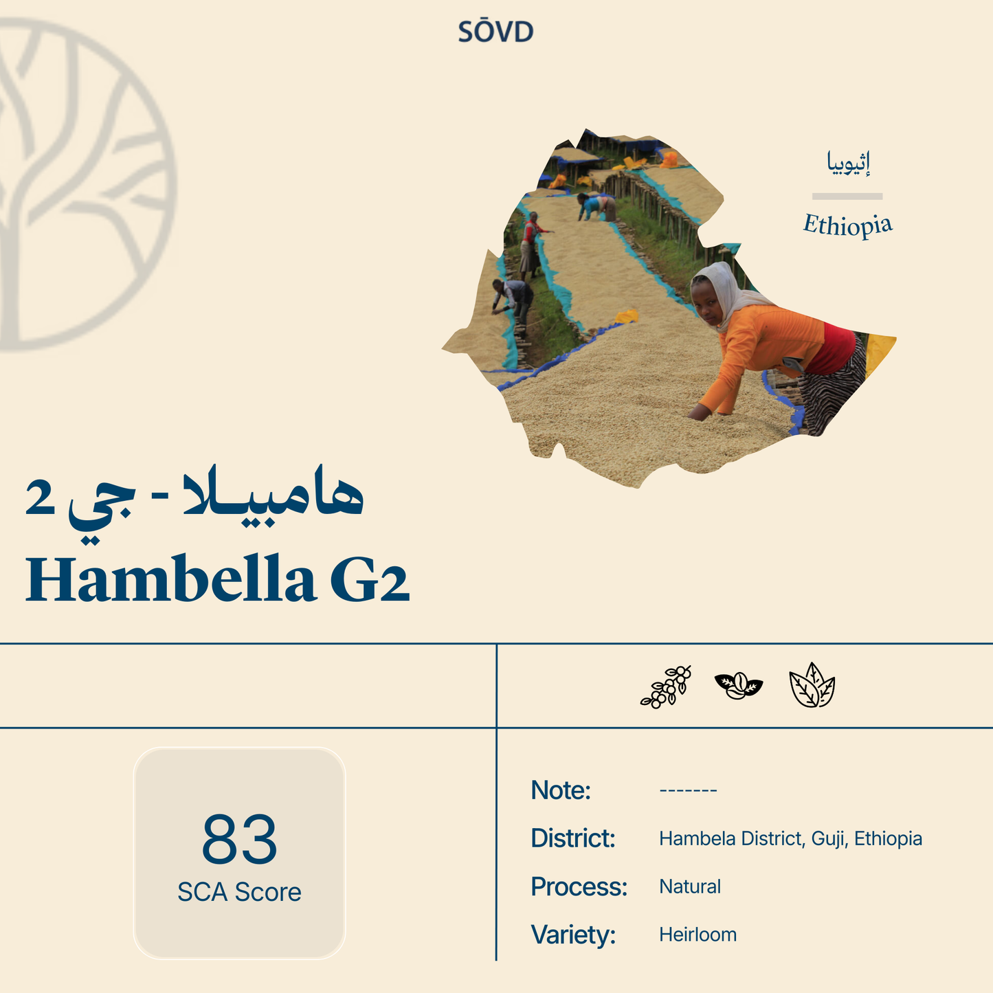 Hambella G2